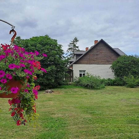 KICA KROGA apartaments Ainazi Bagian luar foto