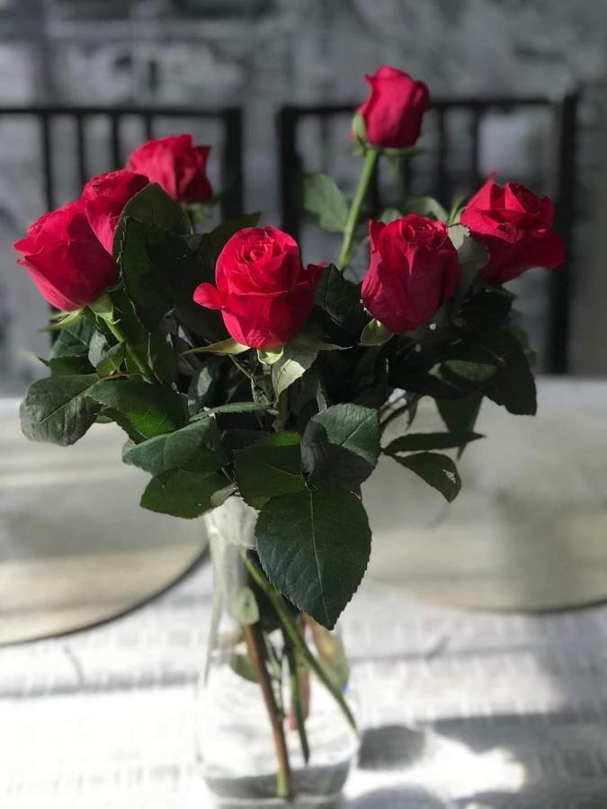 KICA KROGA apartaments Ainazi Bagian luar foto