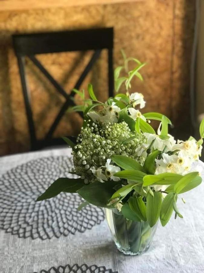 KICA KROGA apartaments Ainazi Bagian luar foto