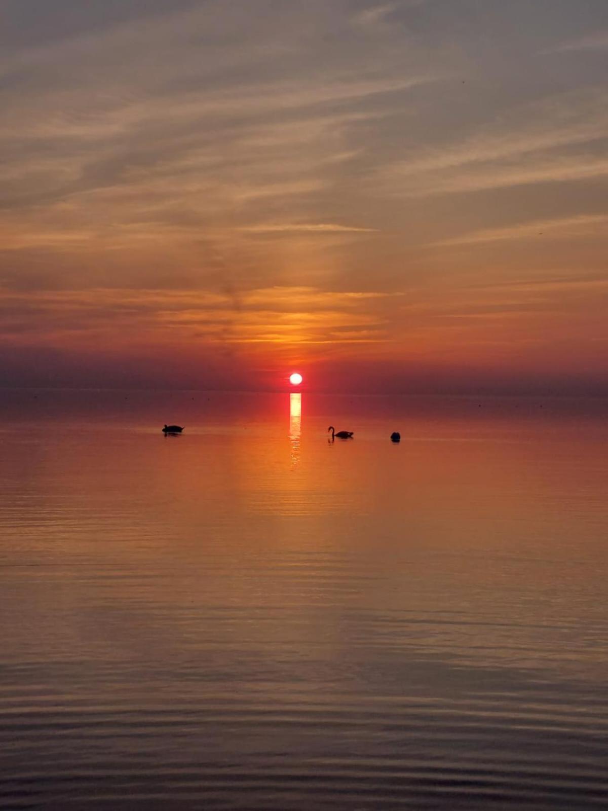 KICA KROGA apartaments Ainazi Bagian luar foto