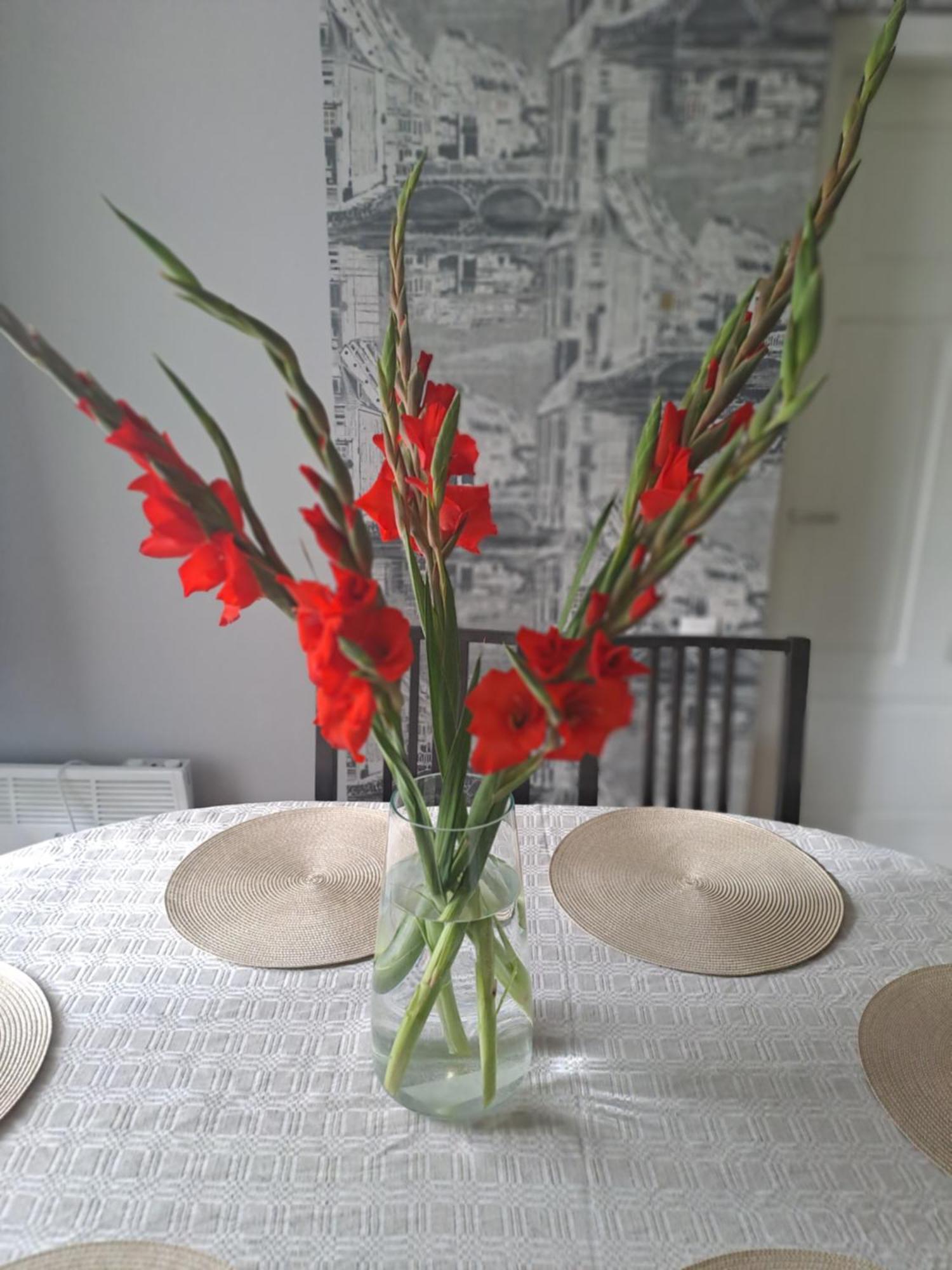 KICA KROGA apartaments Ainazi Bagian luar foto