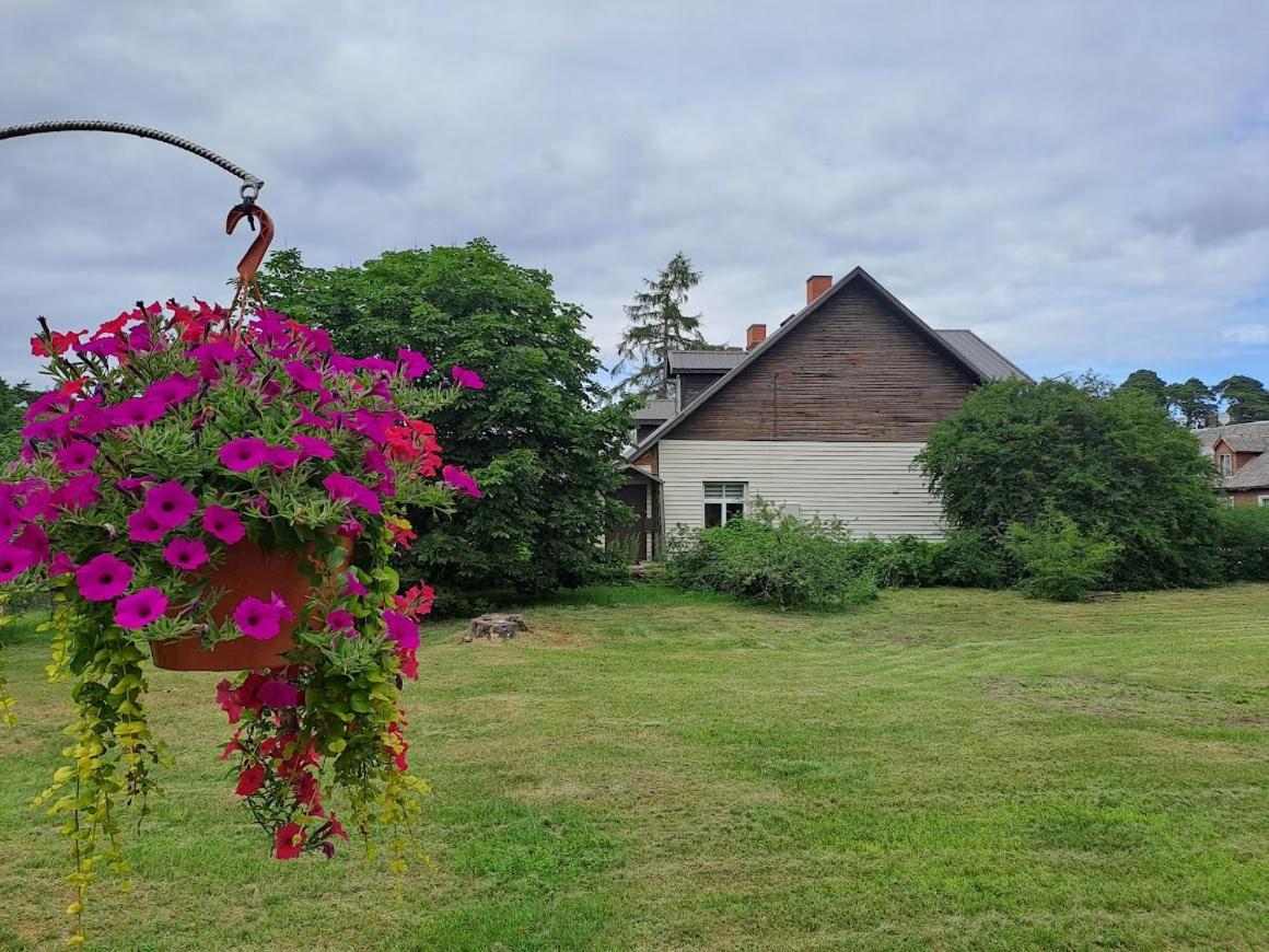 KICA KROGA apartaments Ainazi Bagian luar foto
